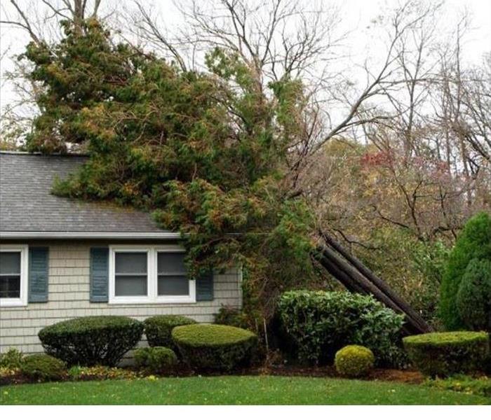 A tree that has been toppled on top of a home by a strong storm